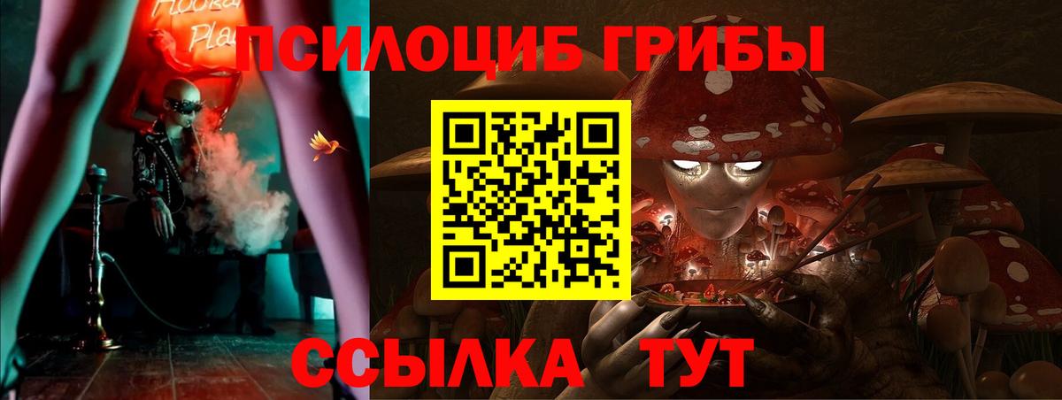 Галлюциногенные грибы Magic Shrooms Находка