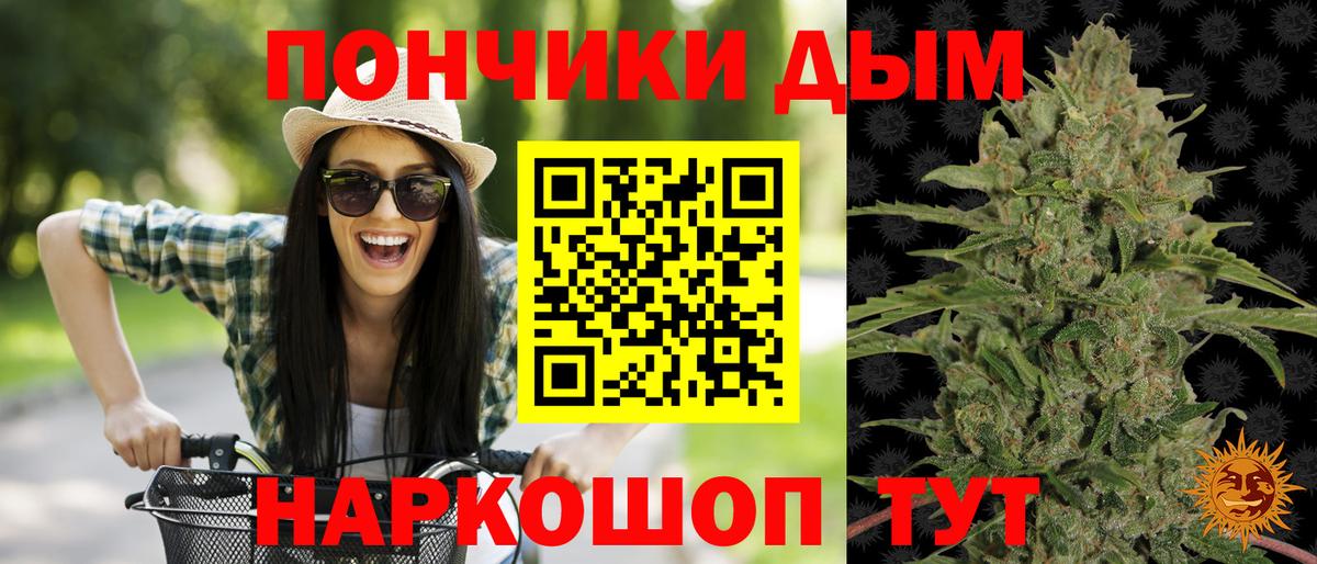 Каннабис индика Находка